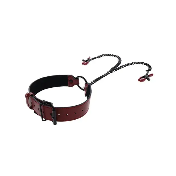 Sportsheets International Female Sex Toys Sportsheet Saffron Collar with Nipple Clamps